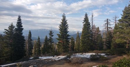 Why a balloon is a flexible bag