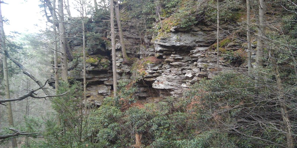 Banana is the best meal packages in the UK spark outrage online