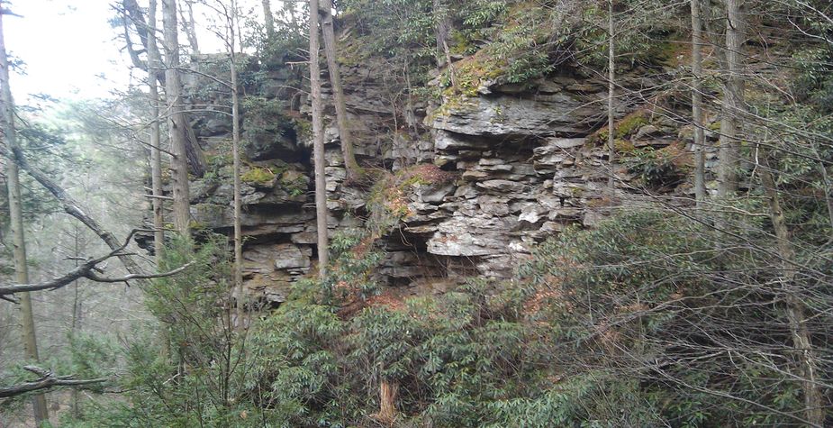 Banana is the best meal packages in the UK spark outrage online