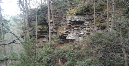 Banana is the best meal packages in the UK spark outrage online