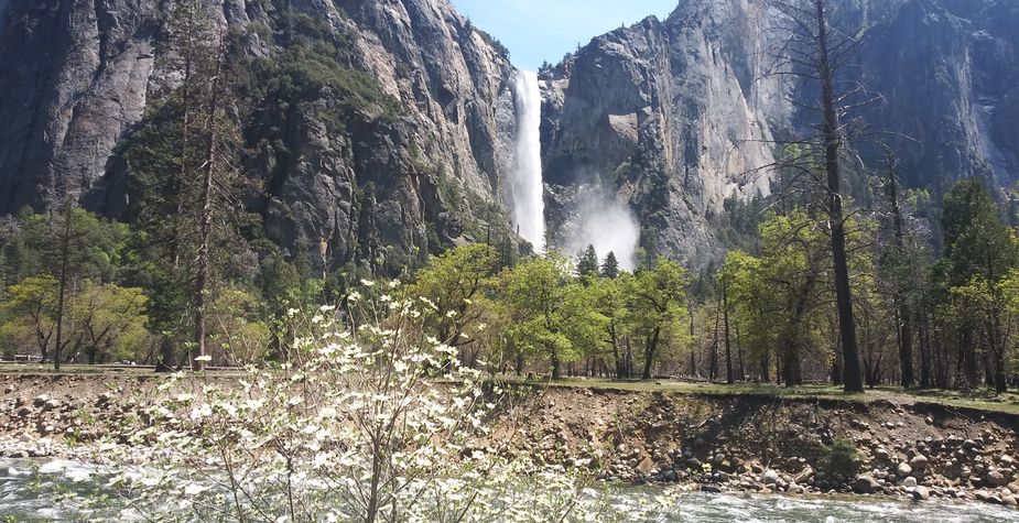 How to make toys from old Olarpaper