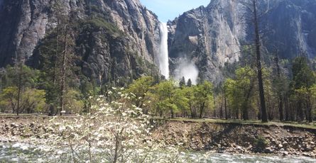 How to make toys from old Olarpaper