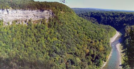 Become a morning person with the help of alarm clock